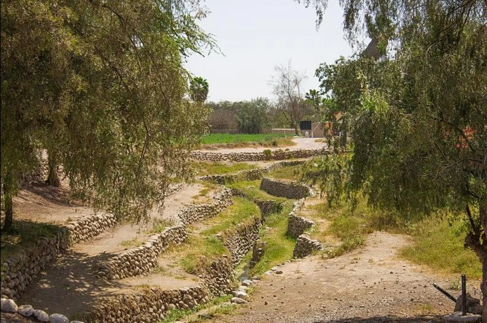 Galerie à ciel ouvert d'un puquio nazca, bordée de pierres et d'arbres